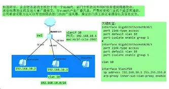 轩辕诗被虐模式vszero360视频