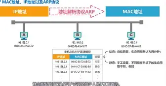轩辕诗被虐模式vszero360视频